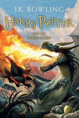 Harry Potter & Goblet Of Fire X