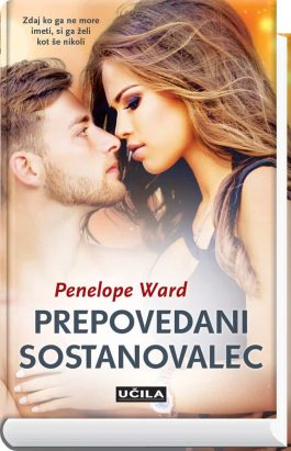 Prepovedani sostanovalec