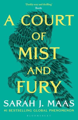 COURT OF MIST AND FURY ADULT
