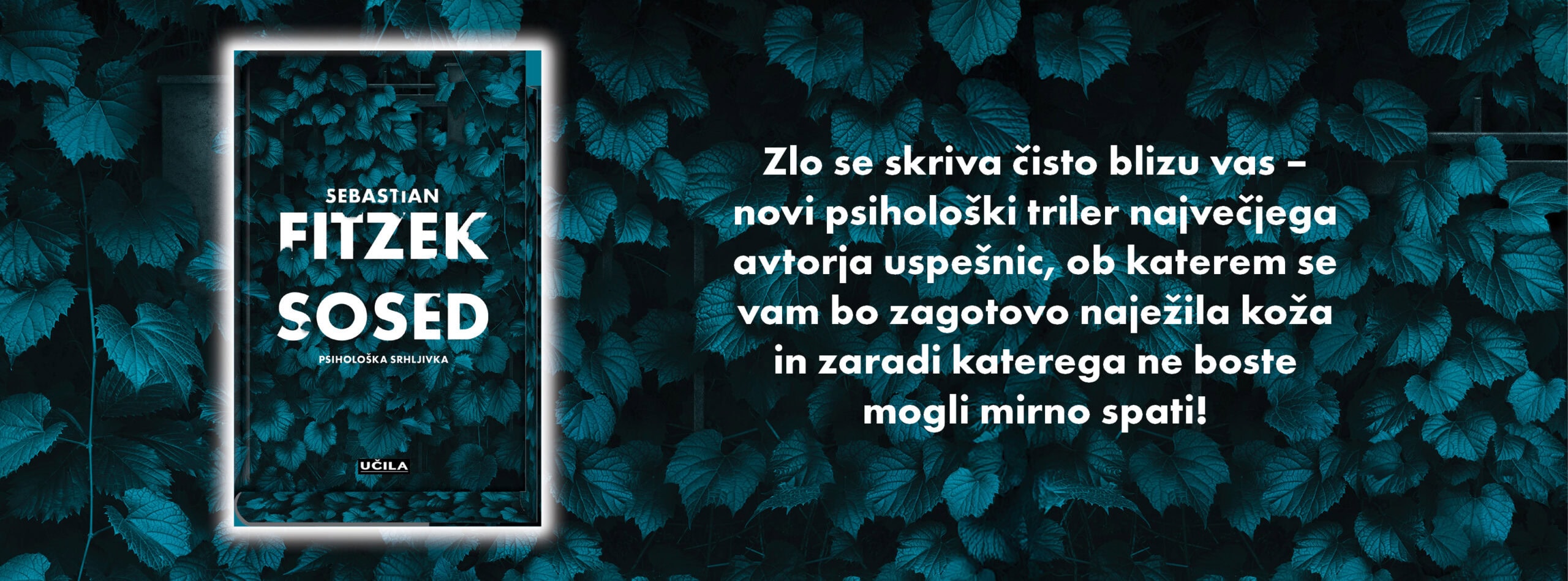 Domov - naslovnica knjige - Felix.si knjigarna