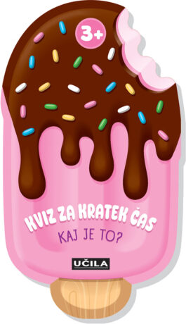 Kviz za kratek čas; Kaj je to?