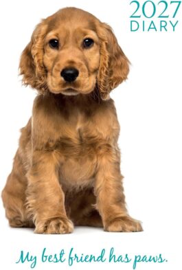 Adorable dogs 2027 - rokovnik a5
