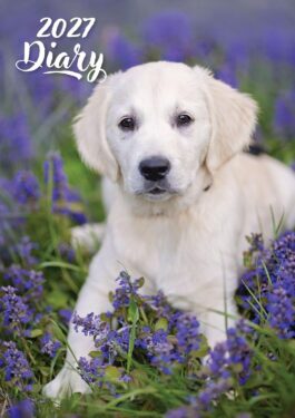 Cute puppies 2027 - rokovnik a5