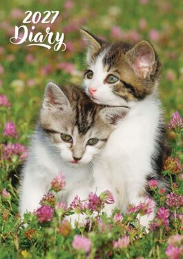 Cute kittens 2027 - rokovnik a5