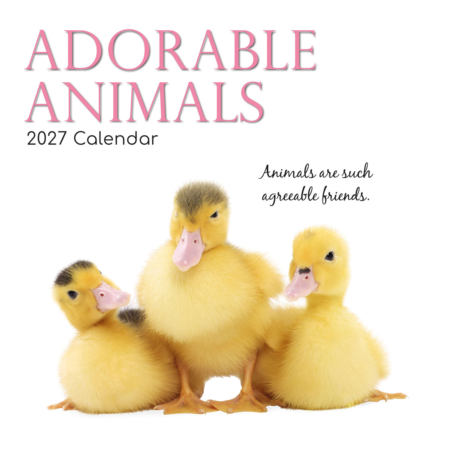 Adorable animals 2027 - koledar 30x30 - naslovnica knjige - Felix.si knjigarna Adorable animals 2027 - koledar 30x30