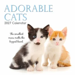 Adorable cats 2027 - koledar 30x30
