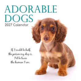 Adorable dogs 2027 - koledar 30x30
