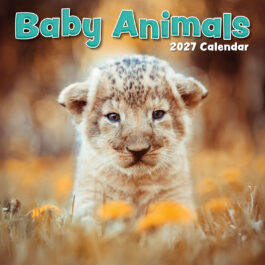 Baby animals 2027 - koledar 30x30
