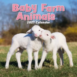 Baby farm animals 2027 - koledar 30x30