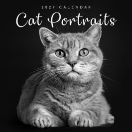 Cat portraits 2027 - koledar 30x30