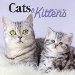 Cats & kittens 2027 - koledar 30x30