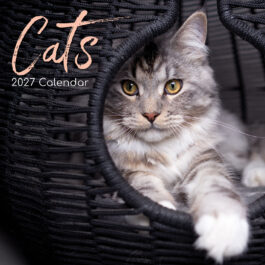 Cats 2027 - koledar 30x30