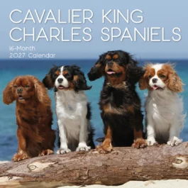 Cavalier king Charles spaniels 2027 – koledar 30x30