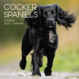 Cocker spaniels 2027 - koledar 30x30