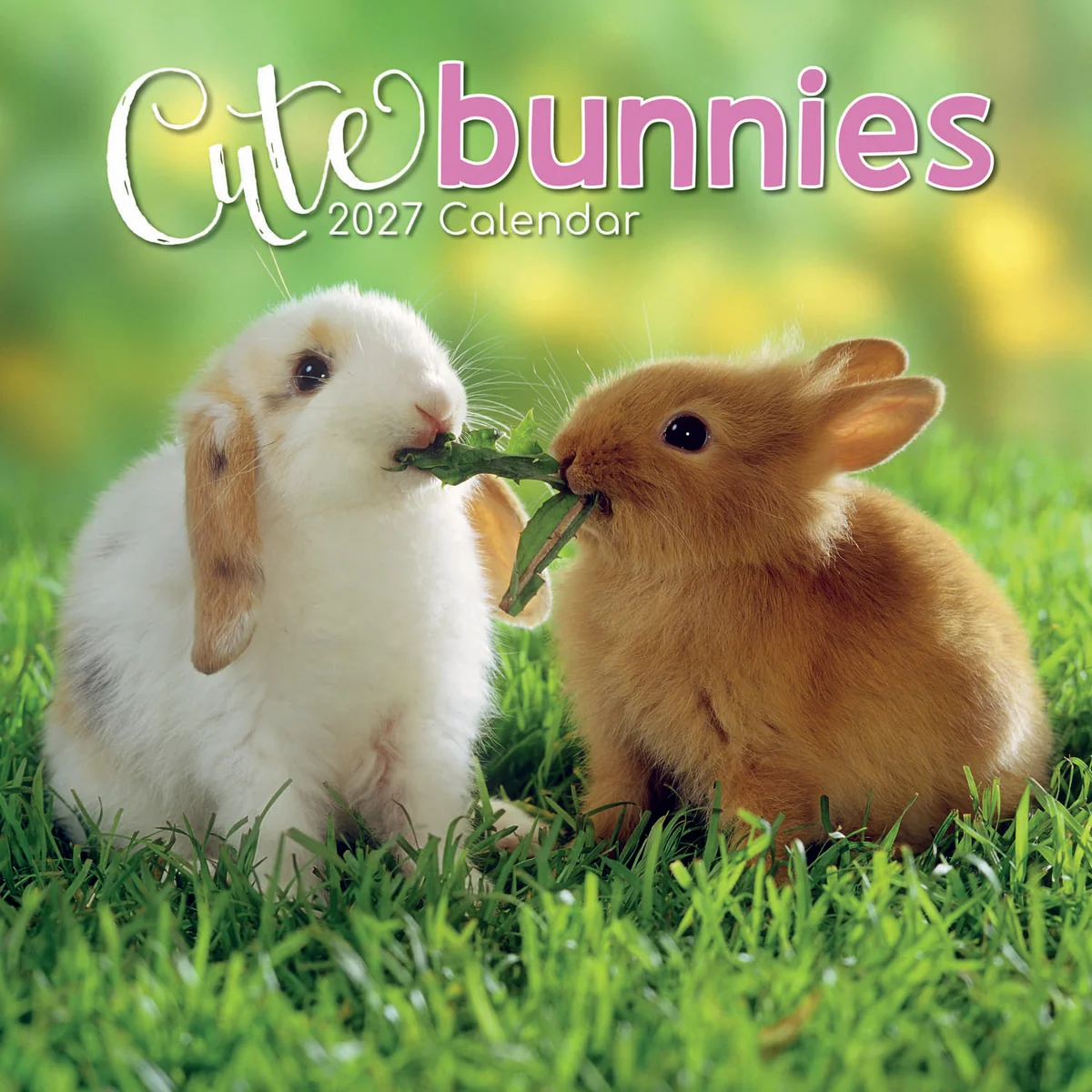 Cute bunnies 2027 - koledar 30x30 - naslovnica knjige - Felix.si knjigarna Cute bunnies 2027 - koledar 30x30
