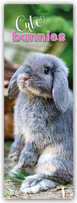 Cute bunnies 2027 - koledar slim
