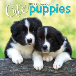 Cute puppies 2027 - koledar 30x30