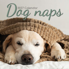 Dog naps 2027 - koledar 30x30