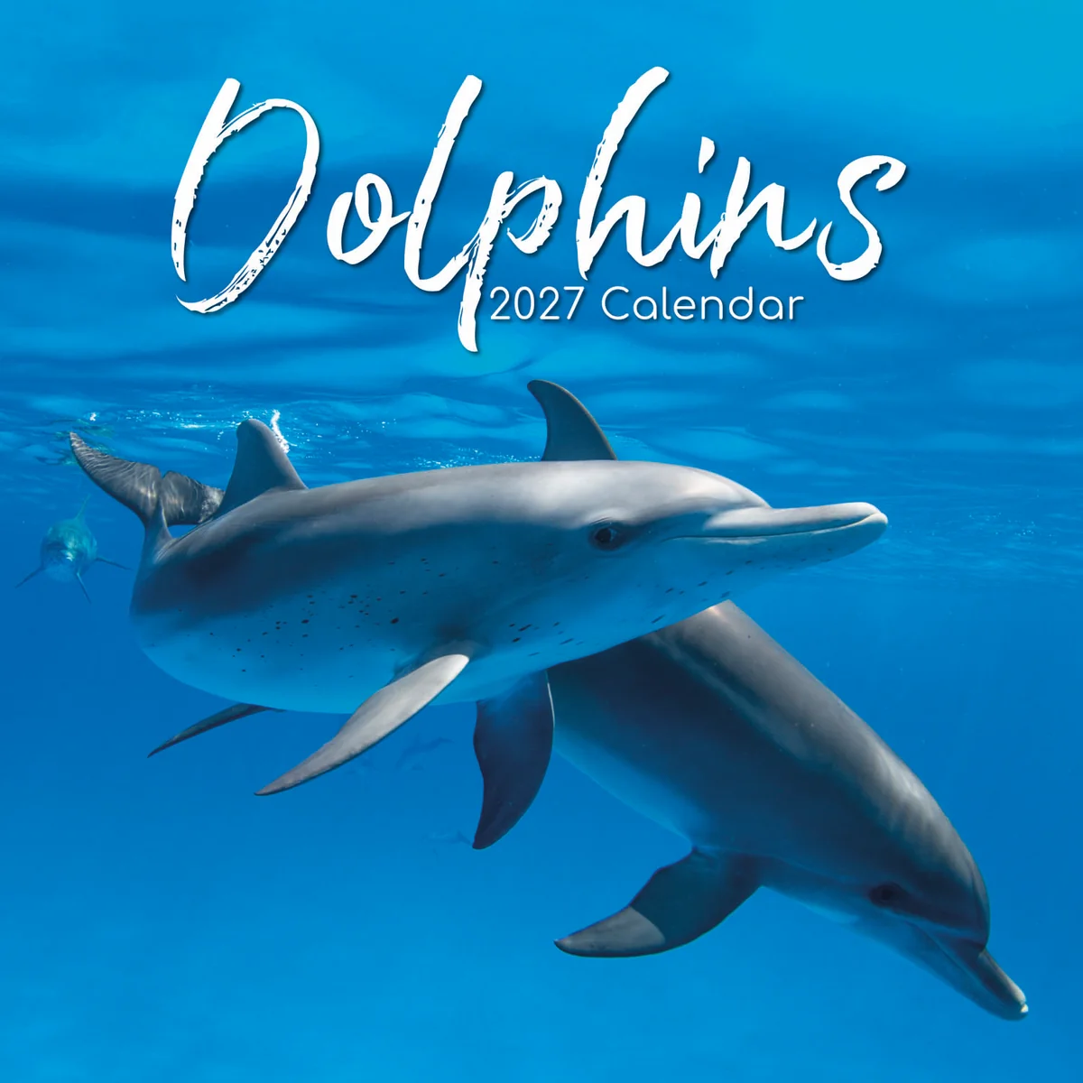 Dolphins 2027 - koledar 30x30 - naslovnica knjige - Felix.si knjigarna Dolphins 2027 - koledar 30x30