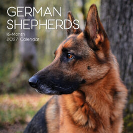 German shepherds 2027 - koledar 30x30