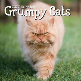 Grumpy cats 2027 - koledar 30x30