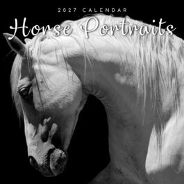 Horse portraits 2027 - koledar 30x30