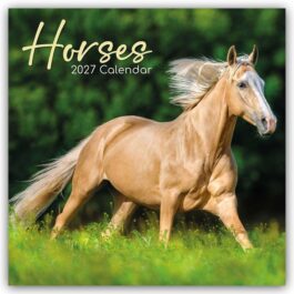 Horses 2027 - koledar 30x30