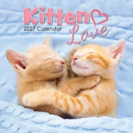 Kitten love 2027 - koledar 30x30