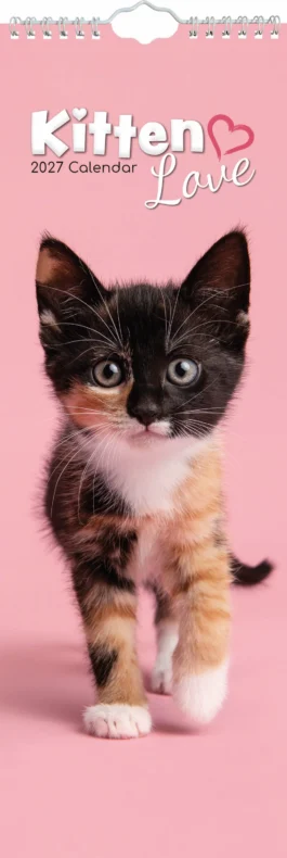 Kitten love 2027 - koledar slim
