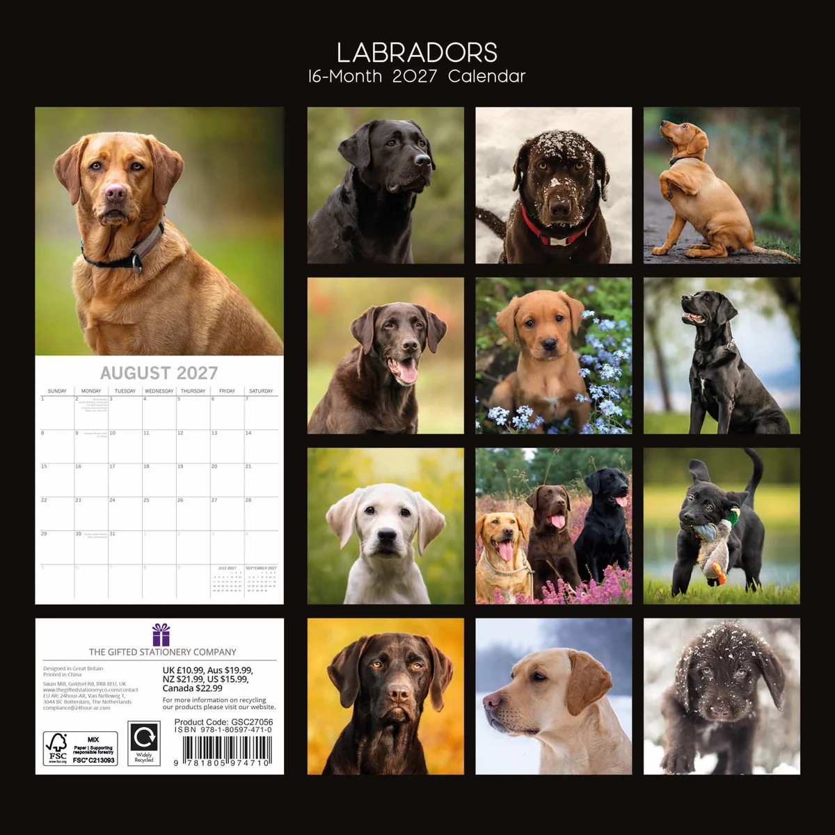 Labradors 2027 - koledar 30x30 - naslovnica knjige - Felix.si knjigarna Labradors 2027 - koledar 30x30 - Image 2