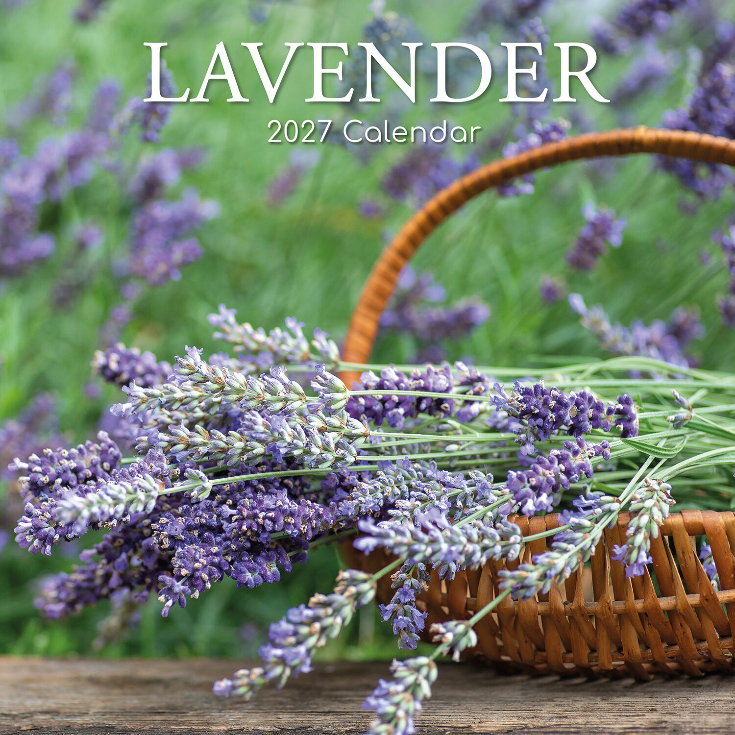 Lavender 2027 - koledar 30x30 - naslovnica knjige - Felix.si knjigarna Lavender 2027 - koledar 30x30