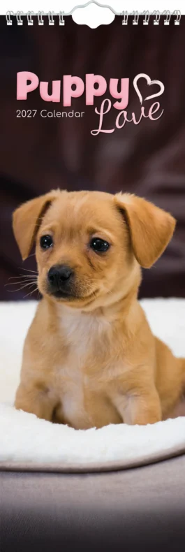 Puppy love 2027 - koledar slim