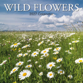 Wild flowers 2027 - koledar 30x30